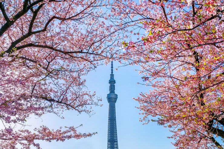 JapanSkytree